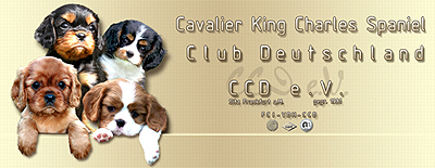 ccd-banner